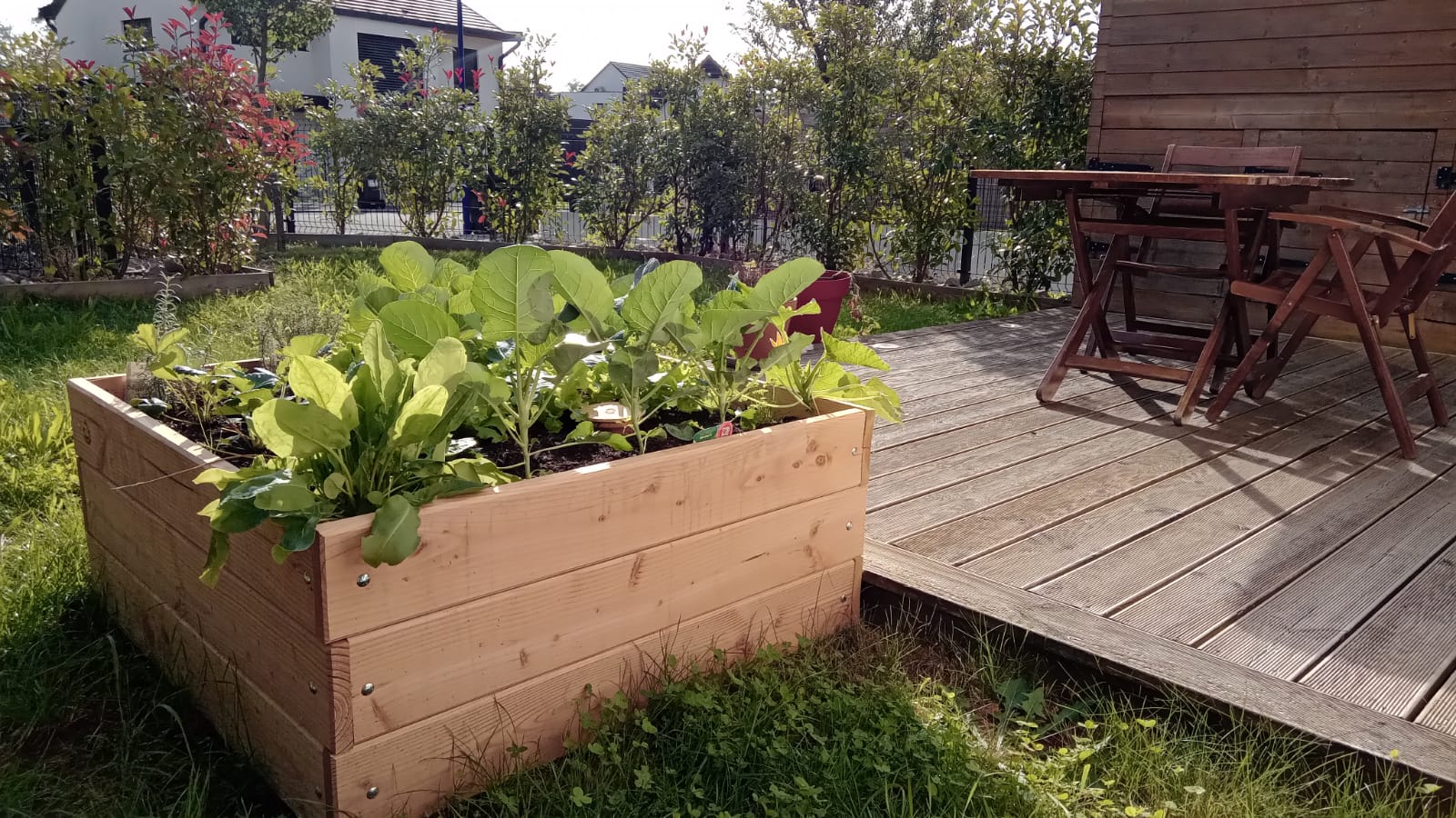 Agrotonome : ce potager composteur (terrasse et jardin) permet de