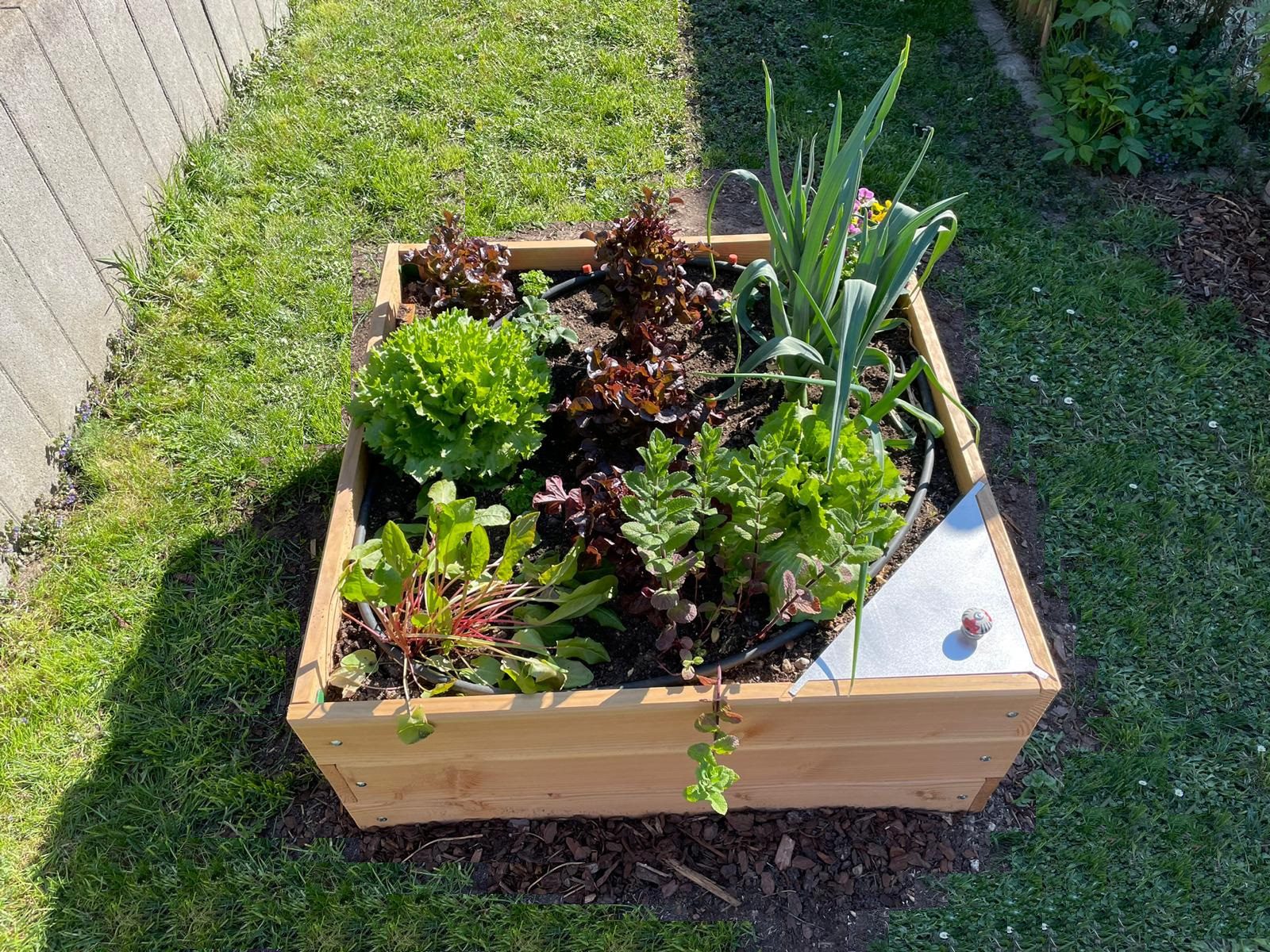 Potager-composteur JARDISY BALCONY - Agrotonome