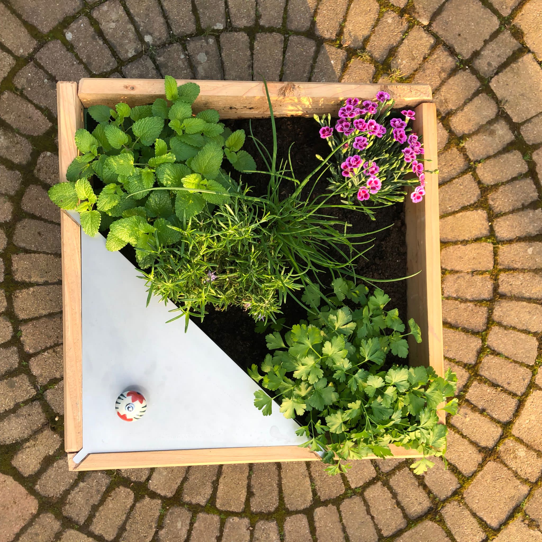 Agrotonome : ce potager composteur (terrasse et jardin) permet de cultiver  et de nourrir les plantes en même temps - NeozOne