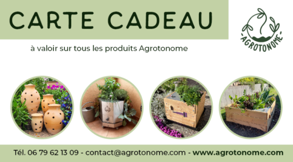 Carte cadeau
