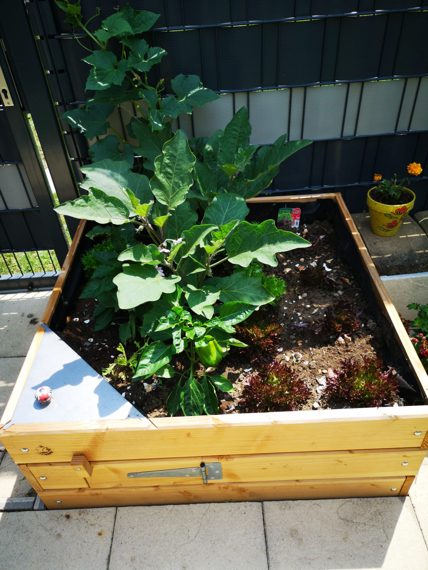 Potager-composteur JARDISY BALCONY - Agrotonome