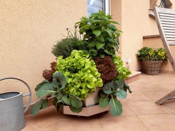 Potager-composteur JARDISY MINI – Image 3