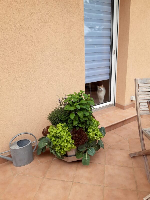 Potager-composteur JARDISY MINI – Image 7