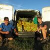 Jus de pomme artisanal 3L – Image 2