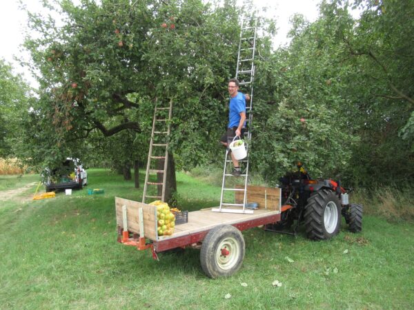 Jus de pomme artisanal 3L – Image 3
