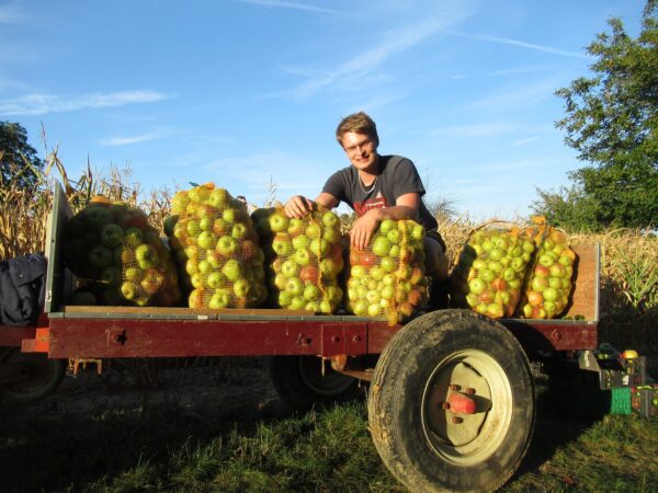 Jus de pomme artisanal 3L – Image 6