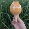 Olla 30cl émaillé translucide – Image 3