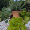 Mini'Pot 4L Mini Potager – Image 3