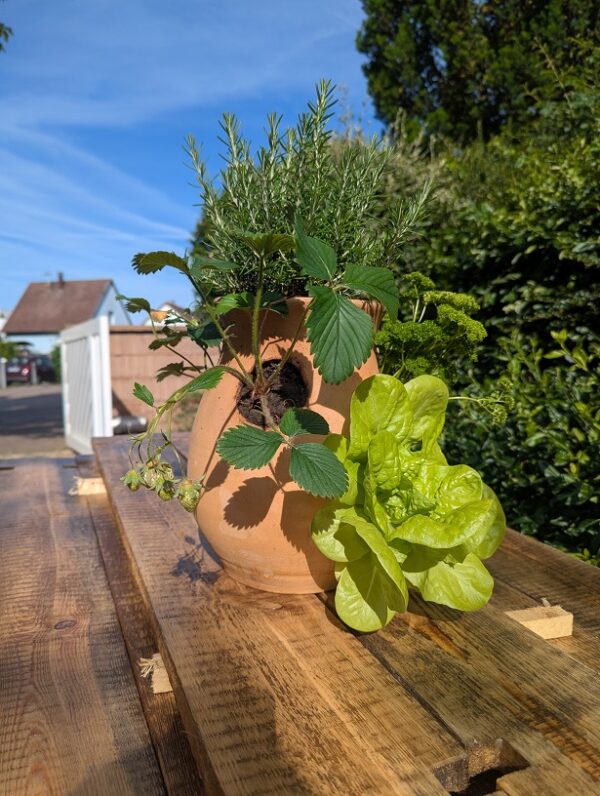 Mini'Pot 4 trous – Image 4